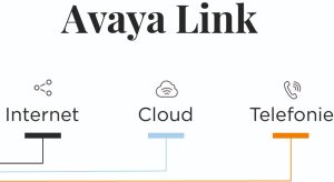 Grafik Avaya Link Carrier Services 2, 0