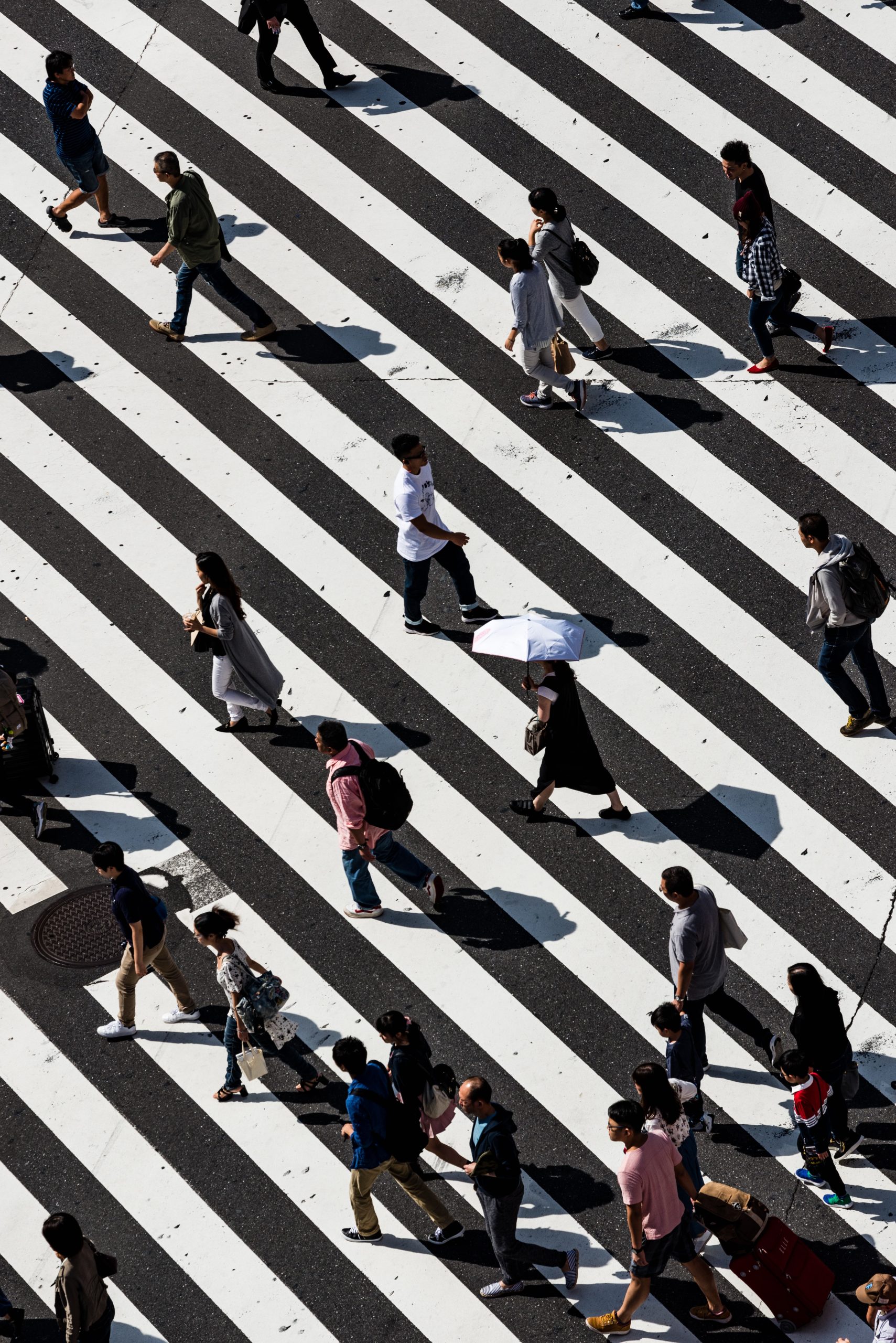 Diese Trends werden das digitale Marketing 2022 prägen, Photo by Ryoji Iwata on Unsplash